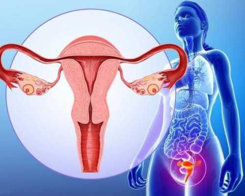 北京自怀助孕机构男孩|北京助孕公司排名-正规试管生子机构