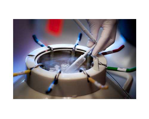 北京做试管代生钱能报销吗,河南北京去泰国做试管婴儿有没有推荐的平台啊？