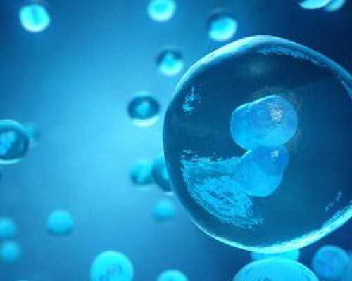 北京私立代孕医院,北京三代试管包男孩靠谱吗？北京试管婴儿第三代可以选性