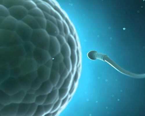 北京助孕公司要花多少钱呀,北京市哪些医院在试管婴儿领域处于领先地位？?