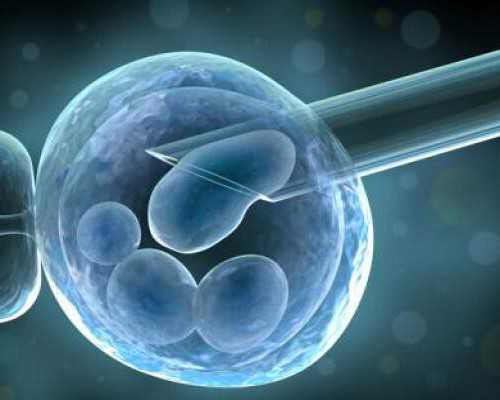 北京代怀妈妈,【节目预告】2024北京高着儿直播咨询—中国社会科学大学北京第