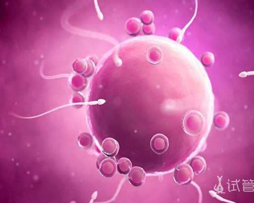 北京试管供卵套餐|北京助孕公司排名-正规试管生子机构