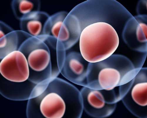 北京靠谱代孕,北京美中宜和妇儿医院价格电话