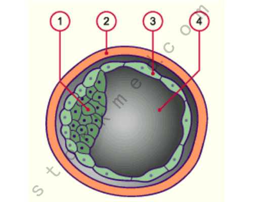 北京代生机构电话,北京中国人类精子库,北京人类精子库给钱