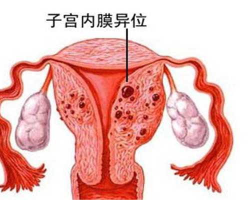 北京协和医院生殖中心试管冻囊胚移植成功率高吗？