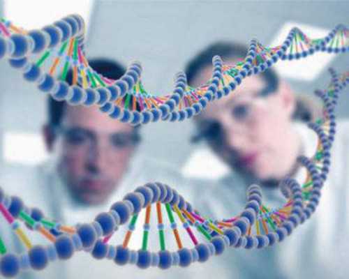 北京婚检孕检新方案：“二检合一”，免费检查项目达25项