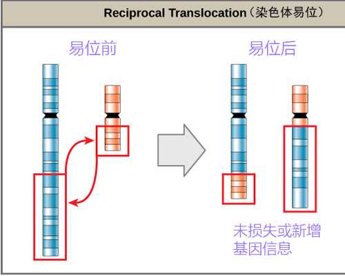 锁镰、女鬼、还有小呱呱！《仁王》最新情报