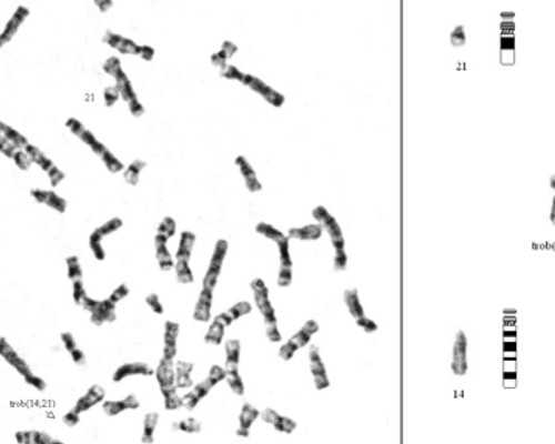 北京包生代怀宝宝孩子|北京供卵试管婴儿好的医院，在北京做试管婴儿