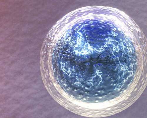 北京合法代生,北京供卵试管价格徴,北京私立供卵试管医院