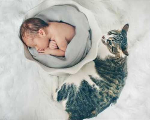 （全）对不起，下辈子再守护你