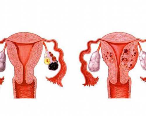 北京供卵正规机构,北京做人工授精的医院