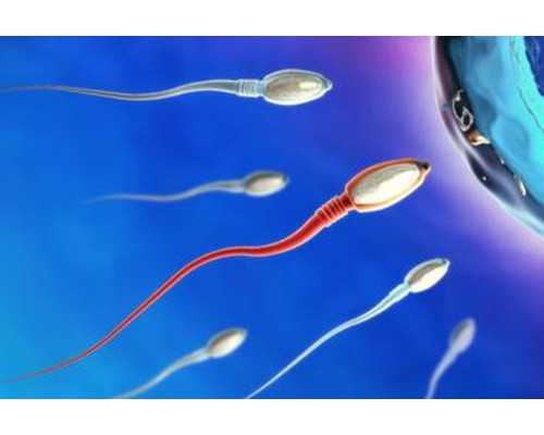 北京代生孩子费用|北京朝阳医院做供精试管费用是多少？北京朝阳医院供精试