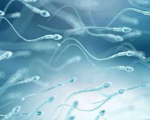 英国留学：这些因排名被低估的院校，其实个个都是宝藏