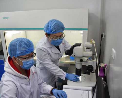 酸甜软糯的小点心，千万别放过