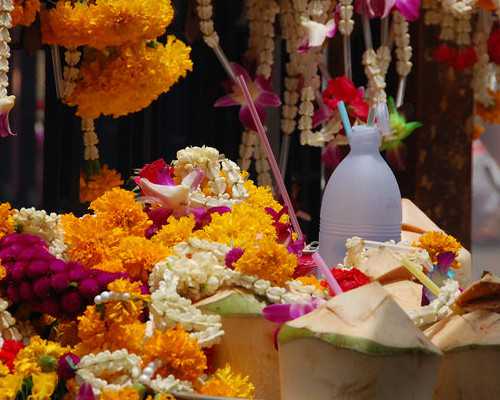 备孕不分季节 夏天如何快速怀孕