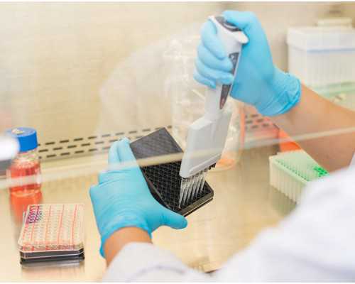 北京试管代孕费用介绍|哈尔滨供卵15万包生男孩没有可信度，2023
年黑龙江供卵