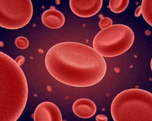 北京专业供卵试管,北京喜得尔试管中心