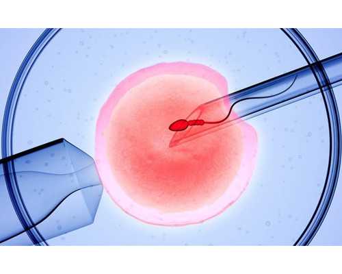 昼的拼音和组词