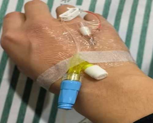 【洋葱的功效与作用】洋葱的营养价值