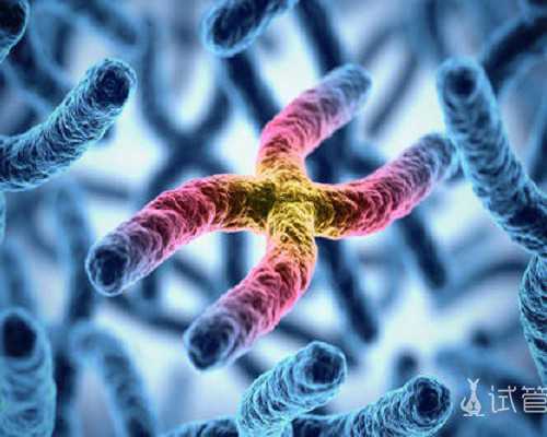 唐都试管婴儿专家推荐：如何选择合适的医院和医生？