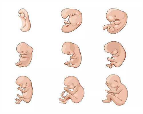 最好的胎教是什么_要孕妇的卫生巾是否可以助孕