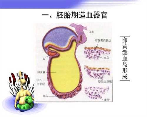 北京上海捐卵合法吗：不想代孕期浮肿变成猪脚