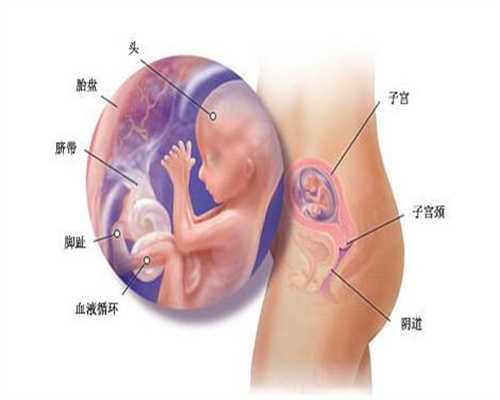 孕前调理容易忽视的5个细节_代孕产子取卵的流程