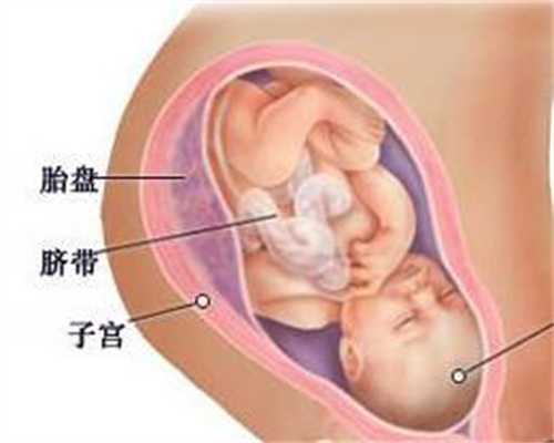 北京有人要找自然代妈吗：二胎男孩  分享备孕生