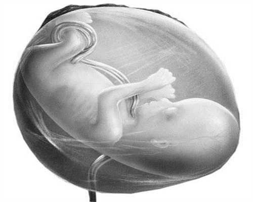 北京个人有招代孕的吗：与腹中宝宝对话的5种方