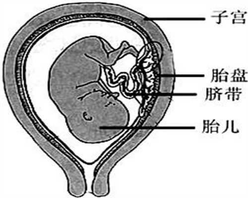郑州精子分离术生男孩：滴虫男性尿道炎的症状