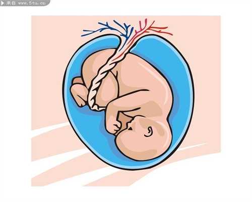 北京助代怀孕包男孩_北京代孕服务协议