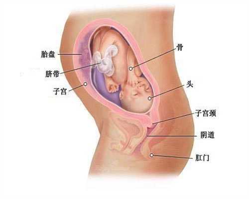 北京代孕合法的国家_人工授精代孕