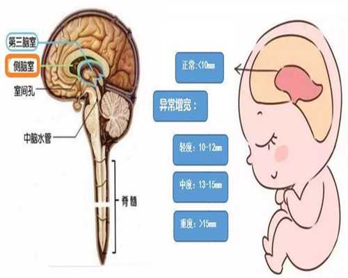 北京代孕的孩子健康吗_重庆代孕_孕前一个月反应