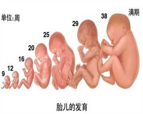 北京代孕需要多大年龄_军人做试管免费吗_孕晚期