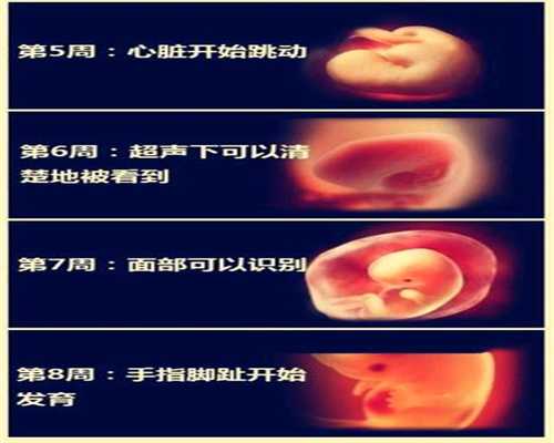 北京代孕可以在医院做吗_北京代怀孕最专业的
