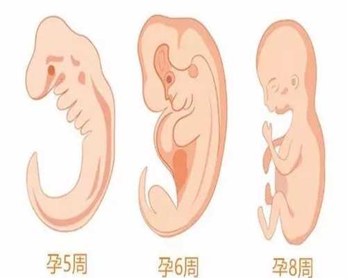 北京代孕产生亲子关系_代生宝宝_孕妇能不能吃五