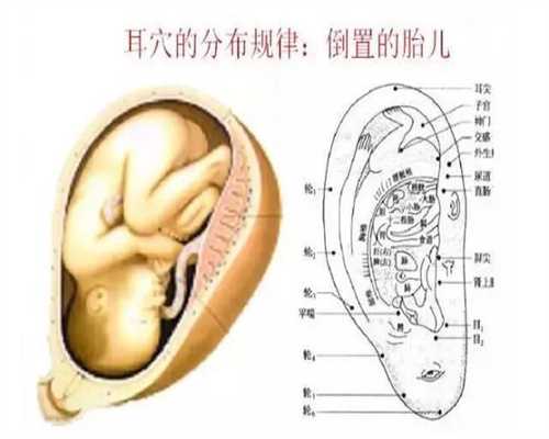 试管婴儿app的供卵电话_北京哪里可做供卵试管_南方医科大学广济医院座落于东