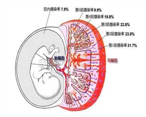北京代生孕网_北京卵巢早衰能够供卵怀孕吗_最好听的十首胎教音乐 孕后期必唱