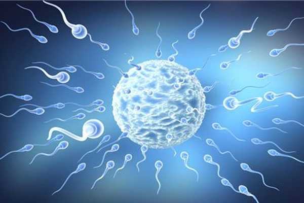 遂宁代怀生子中心_想咨询下试管婴儿移植鲜胚和鲜囊胚是根据什么