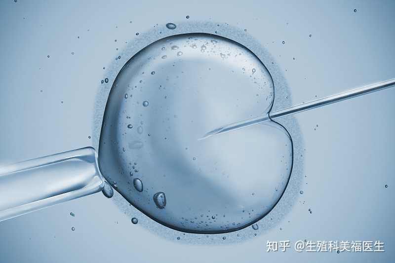 深圳助孕价格,深圳代生男孩,深圳代生妈妈,三甲生殖专家：这样监测卵泡,播种